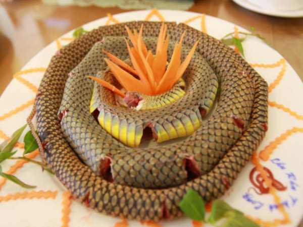 Mơ thấy ăn thịt rắn mang ý nghĩa gì? Lựa chọn số may mắn?